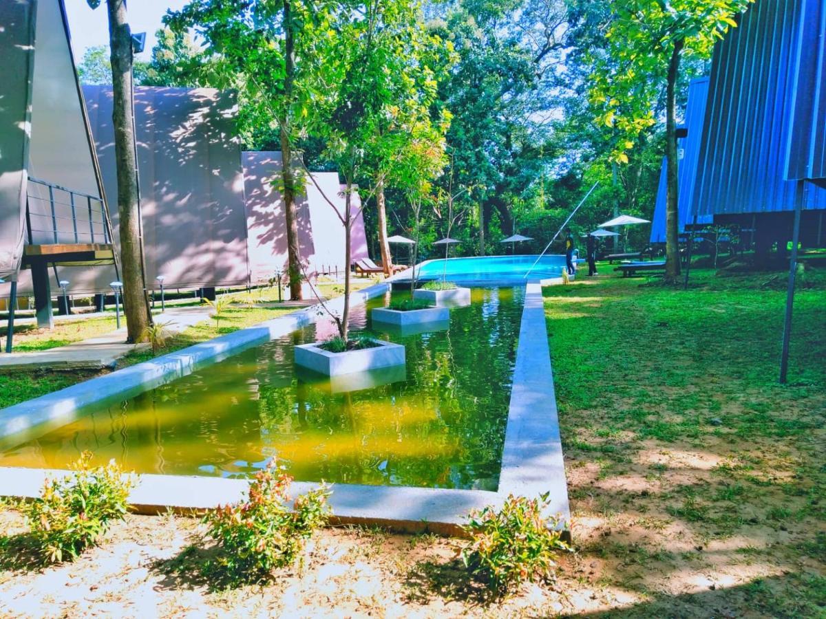 Kottawatta River Bank Resort 우다왈라웨 외부 사진
